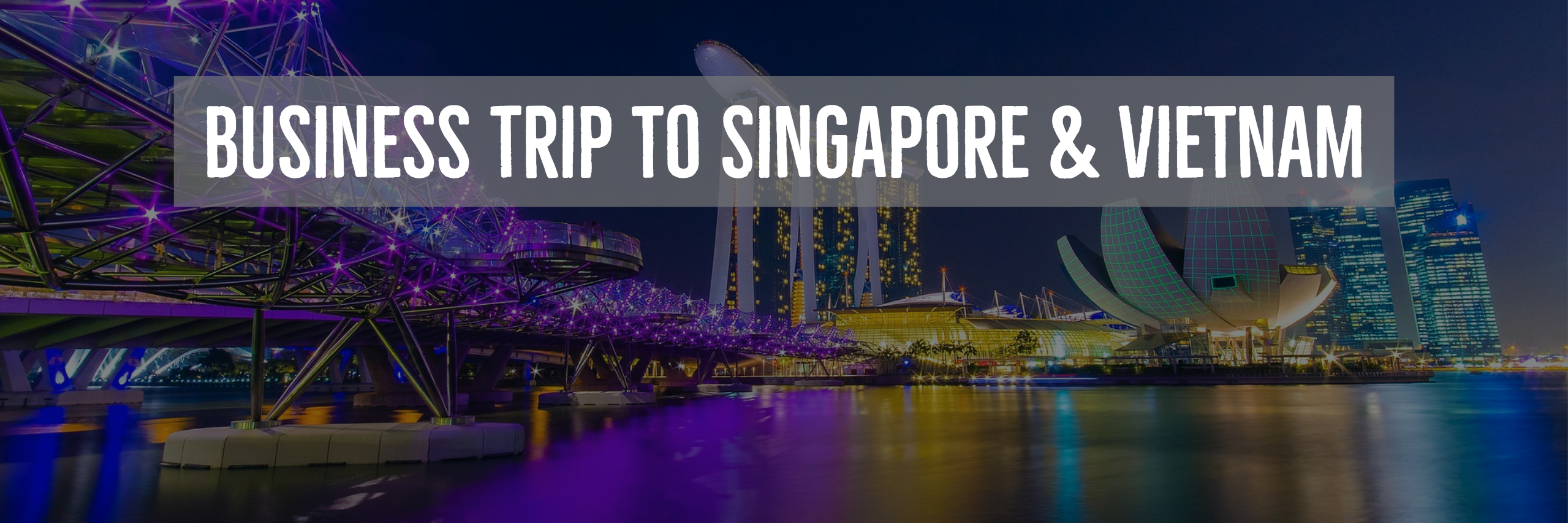 Business Trip to Singapore and Vietnam, Fall 2018